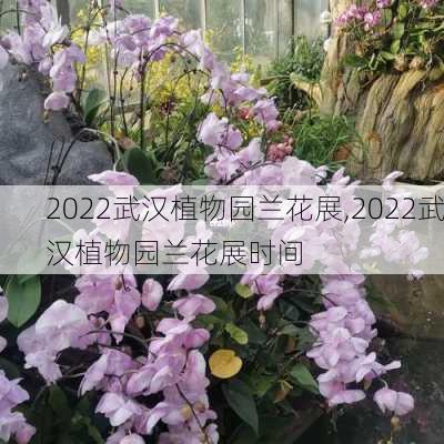 2022武汉植物园兰花展,2022武汉植物园兰花展时间