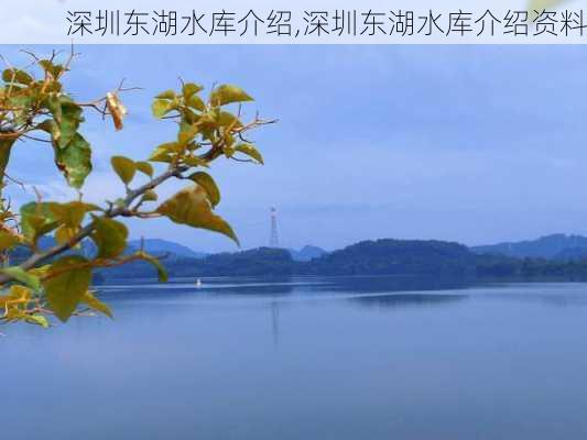 深圳东湖水库介绍,深圳东湖水库介绍资料