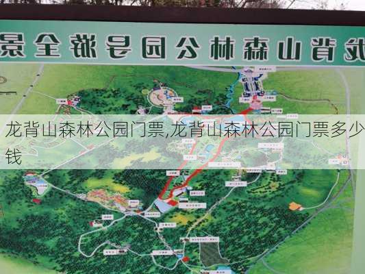 龙背山森林公园门票,龙背山森林公园门票多少钱