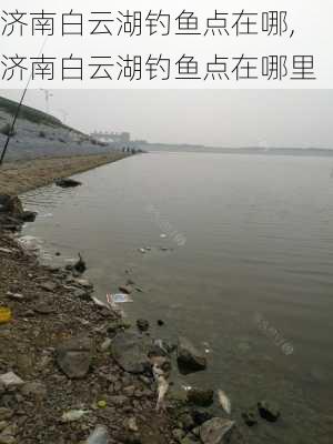 济南白云湖钓鱼点在哪,济南白云湖钓鱼点在哪里