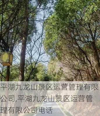 平湖九龙山景区运营管理有限公司,平湖九龙山景区运营管理有限公司电话