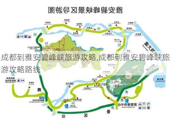 成都到雅安碧峰峡旅游攻略,成都到雅安碧峰峡旅游攻略路线