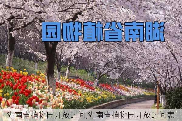 湖南省植物园开放时间,湖南省植物园开放时间表