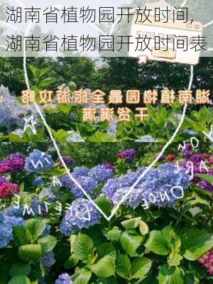 湖南省植物园开放时间,湖南省植物园开放时间表