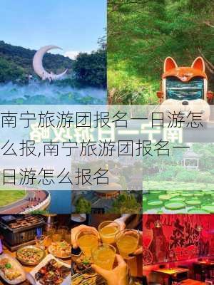 南宁旅游团报名一日游怎么报,南宁旅游团报名一日游怎么报名