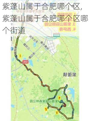 紫蓬山属于合肥哪个区,紫蓬山属于合肥哪个区哪个街道