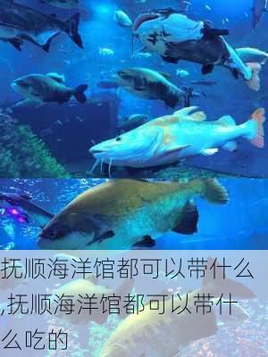 抚顺海洋馆都可以带什么,抚顺海洋馆都可以带什么吃的