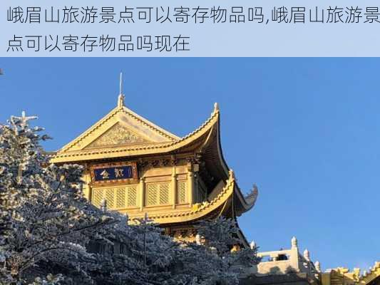 峨眉山旅游景点可以寄存物品吗,峨眉山旅游景点可以寄存物品吗现在