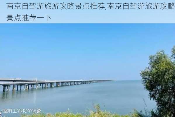 南京自驾游旅游攻略景点推荐,南京自驾游旅游攻略景点推荐一下