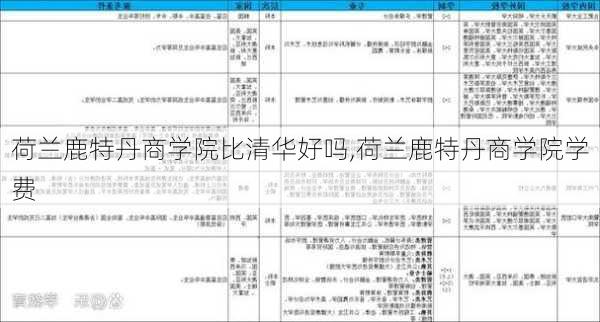 荷兰鹿特丹商学院比清华好吗,荷兰鹿特丹商学院学费