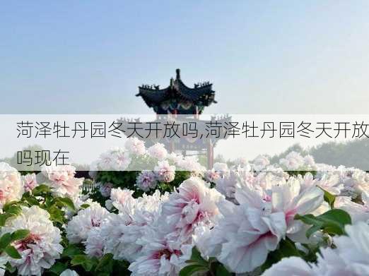 菏泽牡丹园冬天开放吗,菏泽牡丹园冬天开放吗现在