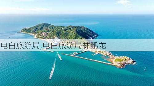 电白旅游局,电白旅游局林鹏龙