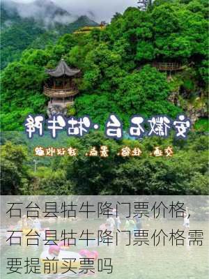 石台县牯牛降门票价格,石台县牯牛降门票价格需要提前买票吗