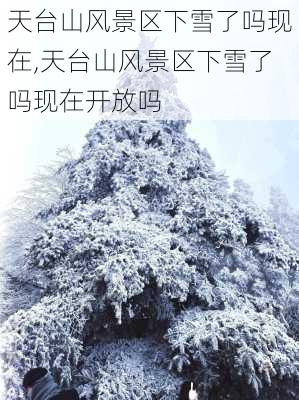 天台山风景区下雪了吗现在,天台山风景区下雪了吗现在开放吗