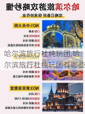 哈尔滨旅行社纯玩团,哈尔滨旅行社纯玩团有哪些