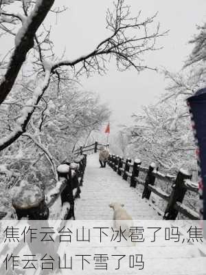 焦作云台山下冰雹了吗,焦作云台山下雪了吗