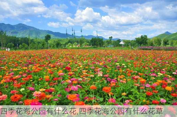 四季花海公园有什么花,四季花海公园有什么花草