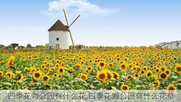 四季花海公园有什么花,四季花海公园有什么花草