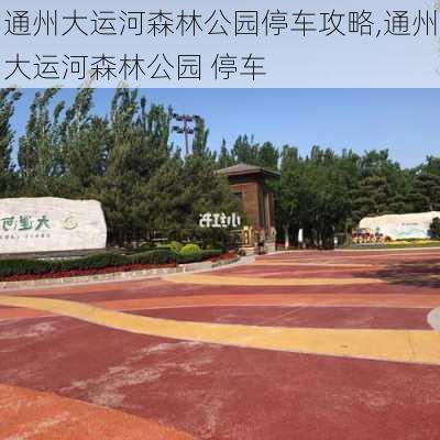 通州大运河森林公园停车攻略,通州大运河森林公园 停车