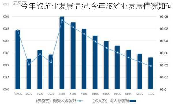 今年旅游业发展情况,今年旅游业发展情况如何