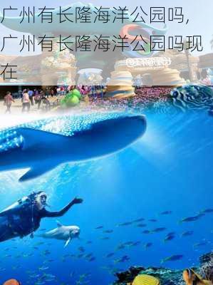 广州有长隆海洋公园吗,广州有长隆海洋公园吗现在