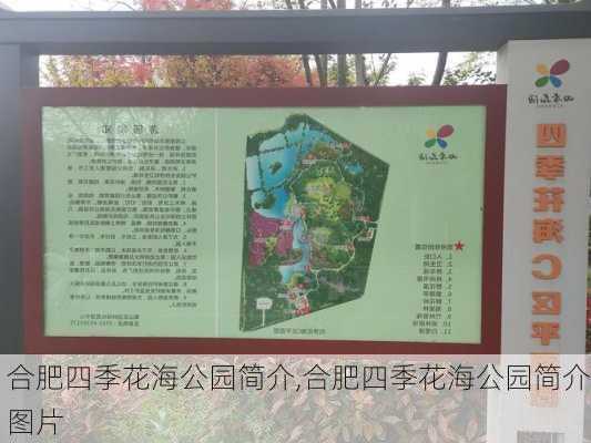 合肥四季花海公园简介,合肥四季花海公园简介图片