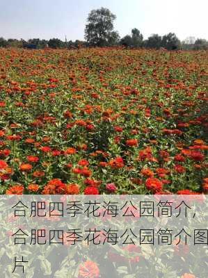 合肥四季花海公园简介,合肥四季花海公园简介图片