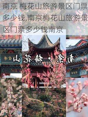 南京 梅花山旅游景区门票多少钱,南京梅花山旅游景区门票多少钱南京