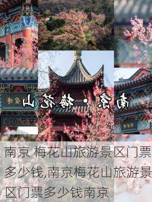 南京 梅花山旅游景区门票多少钱,南京梅花山旅游景区门票多少钱南京