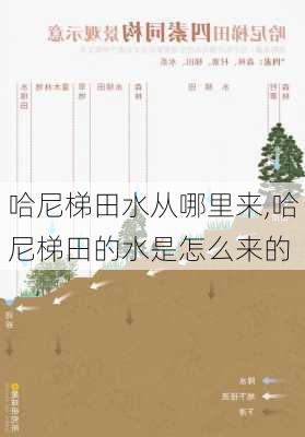 哈尼梯田水从哪里来,哈尼梯田的水是怎么来的