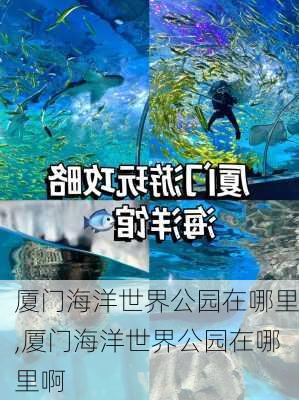 厦门海洋世界公园在哪里,厦门海洋世界公园在哪里啊