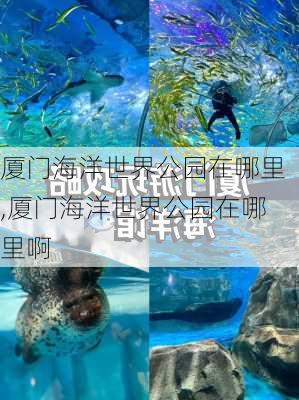 厦门海洋世界公园在哪里,厦门海洋世界公园在哪里啊