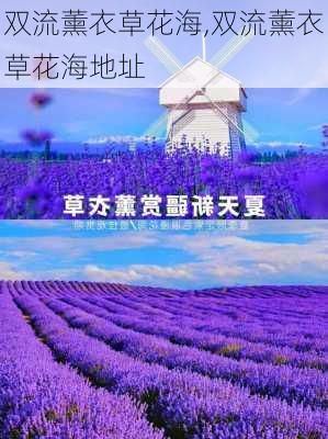 双流薰衣草花海,双流薰衣草花海地址