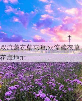 双流薰衣草花海,双流薰衣草花海地址