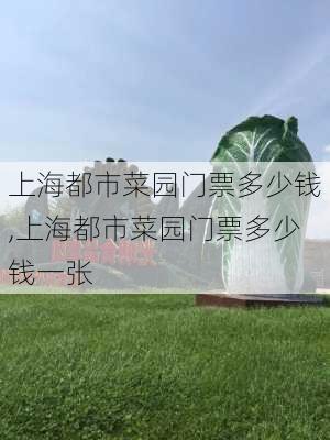 上海都市菜园门票多少钱,上海都市菜园门票多少钱一张