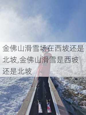 金佛山滑雪场在西坡还是北坡,金佛山滑雪是西坡还是北坡