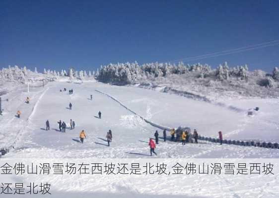 金佛山滑雪场在西坡还是北坡,金佛山滑雪是西坡还是北坡