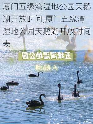 厦门五缘湾湿地公园天鹅湖开放时间,厦门五缘湾湿地公园天鹅湖开放时间表