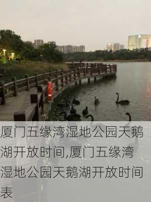 厦门五缘湾湿地公园天鹅湖开放时间,厦门五缘湾湿地公园天鹅湖开放时间表