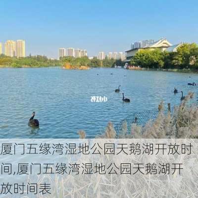 厦门五缘湾湿地公园天鹅湖开放时间,厦门五缘湾湿地公园天鹅湖开放时间表