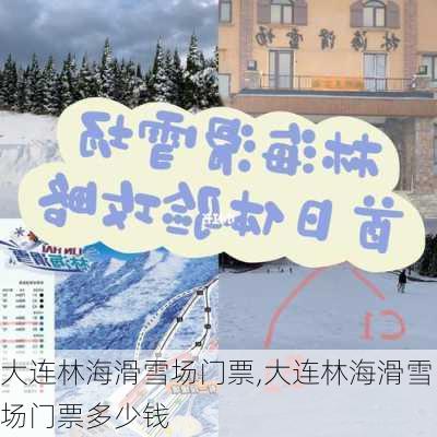 大连林海滑雪场门票,大连林海滑雪场门票多少钱