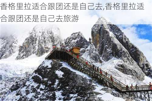 香格里拉适合跟团还是自己去,香格里拉适合跟团还是自己去旅游