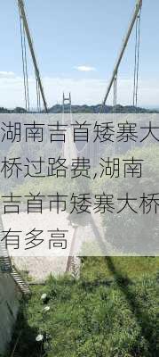 湖南吉首矮寨大桥过路费,湖南吉首市矮寨大桥有多高