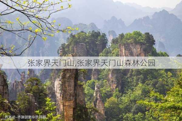 张家界天门山,张家界天门山森林公园