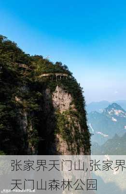 张家界天门山,张家界天门山森林公园