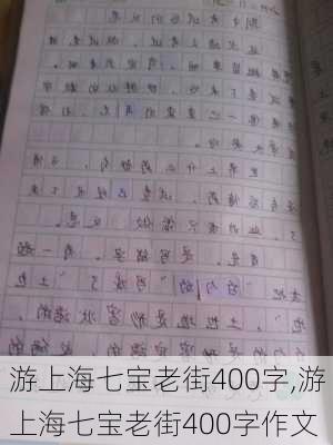 游上海七宝老街400字,游上海七宝老街400字作文