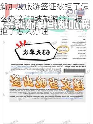 新加坡旅游签证被拒了怎么办,新加坡旅游签证被拒了怎么办理