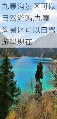 九寨沟景区可以自驾游吗,九寨沟景区可以自驾游吗现在