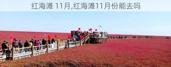 红海滩 11月,红海滩11月份能去吗