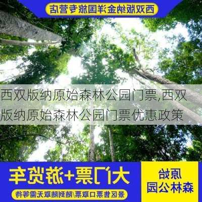 西双版纳原始森林公园门票,西双版纳原始森林公园门票优惠政策